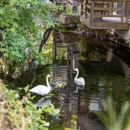 غولدين كيه بوردوبيت 5*