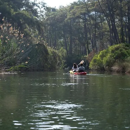 غولدين كيه بوردوبيت 5*
