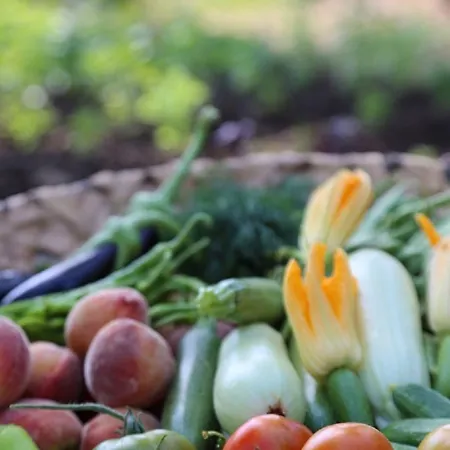 غولدين كيه بوردوبيت 5*