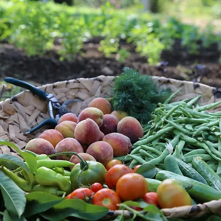 غولدين كيه بوردوبيت 5*