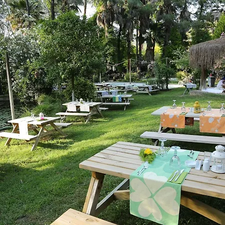 غولدين كيه بوردوبيت مرمريس