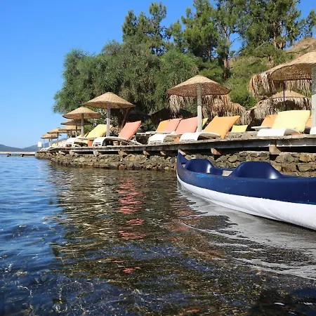 غولدين كيه بوردوبيت