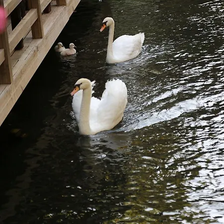 فندق غولدين كيه بوردوبيت مرمريس