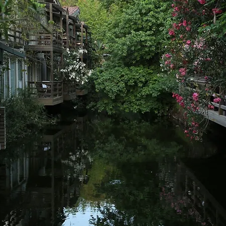 فندق غولدين كيه بوردوبيت 5*