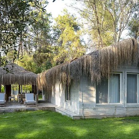 غولدين كيه بوردوبيت مرمريس