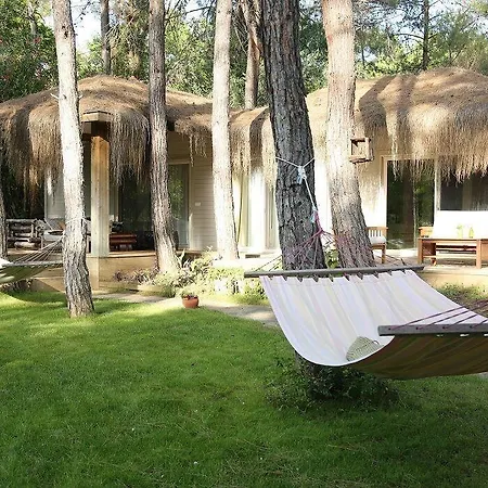 غولدين كيه بوردوبيت 5* مرمريس