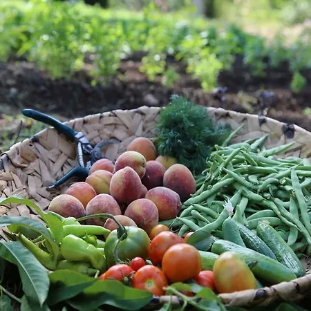 غولدين كيه بوردوبيت 5* مرمريس