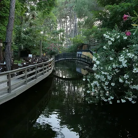 غولدين كيه بوردوبيت 5*