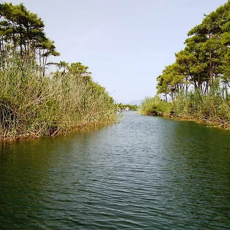 غولدين كيه بوردوبيت 5*