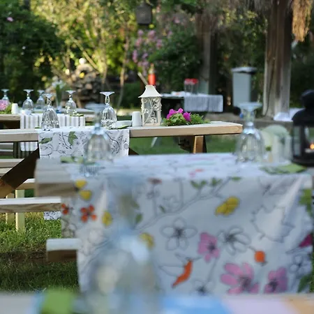 Hotel Golden Key Bordubet 5*