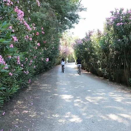 Golden Key Bordubet Otel 5*