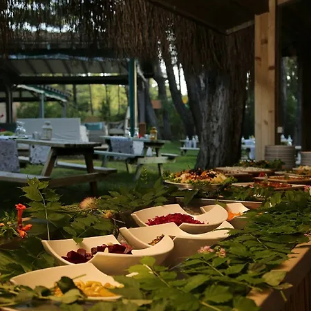 Golden Key Bordubet 5* Marmaris