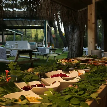 Golden Key Bordubet 5* Marmaris