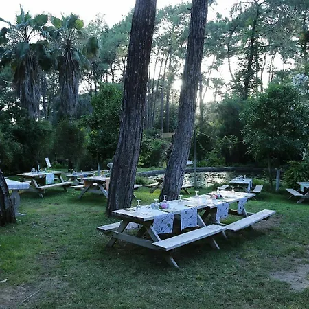 Golden Key Bordubet Marmaris