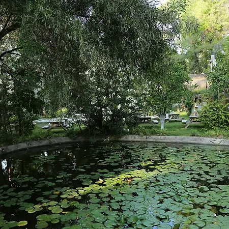 Golden Key Bordubet 5*