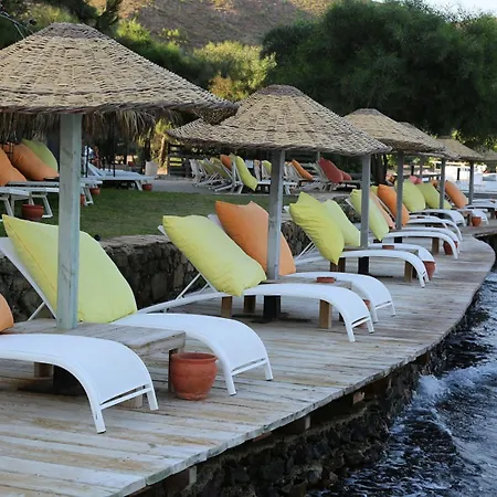 Hotel Golden Key Bordubet 5*